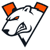 Virtus pro